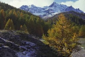 Alpes-Maritimes. La valle della ClarÃ©e.De Agostini Picture Library/C. Sappa