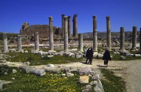 Gerasa. Rovine dell'antica cittÃ  ellenistico-romana.De Agostini Picture Library/C. Sappa