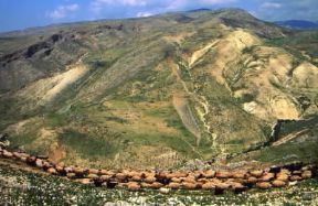 Giordania. Veduta dei dintorni di Gerasa.De Agostini Picture Library / C. Sappa