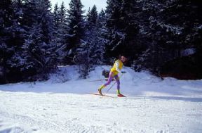 Sci. Pista per lo sci di fondo.De Agostini Picture Library / C. Sappa