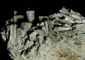 Diopside. De Agostini Picture Library/C. Bevilacqua