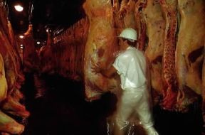 Uruguay. Interno di un magazzino di carne per l'esportazione.De Agostini Picture Library/S. Gutierrez