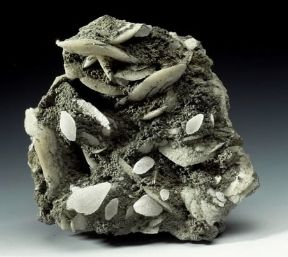 Mesitite. De Agostini Picture Library/A. Rizzi