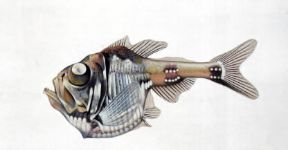 Ascia d'argento. Esemplare di ascia d'argento (Argyropelecus hemigymnus).De Agostini Picture Library