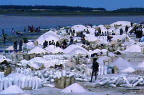 Senegal . Saline nella zona a nord della capitale.De Agostini Picture Library/C. Sappa