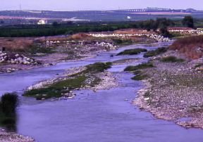 Ofanto .Un tratto del fiume nel territorio della provincia di Bari.De Agostini Picture Library/A. Tessore
