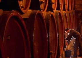 Piemonte. Cantina enologica a Serralunga d'Alba, nelle Langhe.De Agostini Picture Library/G. P. Cavallero
