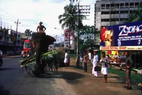 Cochin. Una via del centro cittadino.De Agostini Picture Library/V. Degrandi
