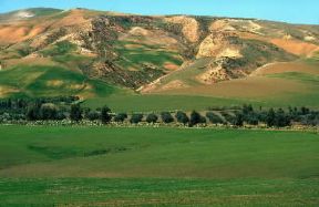 Tunisia. Veduta tra Tunisi e Biserta.De Agostini Picture Library/C. Sappa