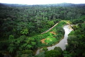 Repubblica Popolare del Congo. Ferrovia nella foresta di Mayombe.De Agostini Picture Library / M. Bertinetti