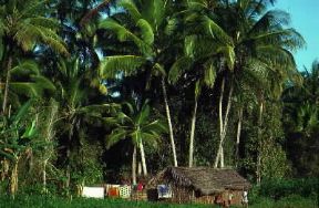 Zanzibar. Una capanna, tipica abitazione dell'isola.De Agostini Picture Library/S. Vannini