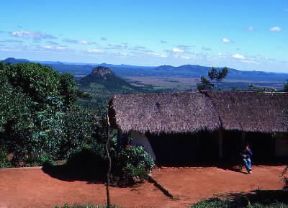 Paraguay . Una fattoria nei dintorni di ParaguarÃ­.De Agostini Picture Library/G. SioÃ«n