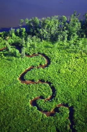 Virginia. Veduta aerea della pianura costiera nei dintorni di Hopewell.De Agostini Picture Library/G. Roli