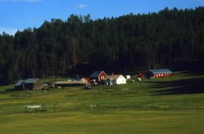 Black Hills. Paesaggio della regione.De Agostini Picture Library/E. Turri