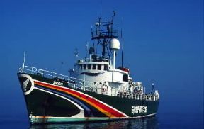 Greenpeace International. La nave Sirius durante una campagna per la tutela dell'ambiente.De Agostini Picture Library / G. SioÃ«n