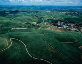 Zucchero. Veduta aerea di una piantagione di canna da zucchero presso Recife (Brasile).De Agostini Picture Library/Pubbli Aer Foto
