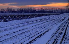 Ungheria. Paesaggio innevato nei dintorni di Mohacs. Il clima del Paese Ã¨ nettamente continentale.De Agostini Picture Library/C. Sappa