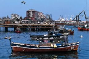 Antofagasta. Veduta del porto della cittÃ .De Agostini Picture Library/W. Buss