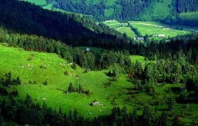 Stiria. Veduta della valle del Mur.De Agostini Picture Library/S. Vannini