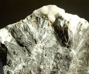 Ludwigite. De Agostini Picture Library/Photi 1