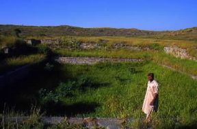 Punjab (Pakistan). La stazione archeologica di Taxila, sec. V a. C.De Agostini Picture Library/W. Buss