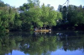 Punjab (Pakistan). Scorcio del Ayub National Park presso la cittÃ  di Rawalpindi.De Agostini Picture Library/W. Buss