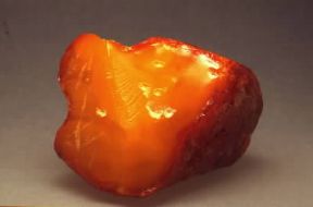 Copale allo stato fossile.De Agostini Picture Library /