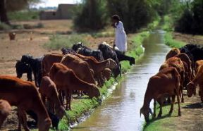 Sudan. L'Atbara, affluente del Nilo.De Agostini Picture Library/C. Sappa