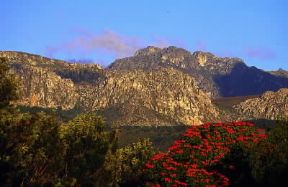 Zimbabwe. Il paesaggio naturale appare molto diversificato, anche se predomina il tree-veld, una sorta di rada foresta.De Agostini Picture Library/G. SioÃ«n