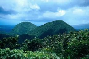 Antille. Scorcio del rigoglioso Col des Mammelles nel Parco Nazionale in Guadalupa.De Agostini Picture Library/L. Romano