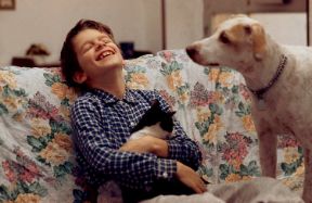 L'importanza del gioco. Gioco. Attraverso il gioco il bambino sviluppa non soltanto le sue capacità fisiche, ma anche la creatività, l’intelligenza, l’affettività, la socialità. L’attività ludica è dunque un'esperienza fondamentale che permette al bambino di apprendere infinite nozioni e di sperimentare atteggiamenti utili per il suo futuro.