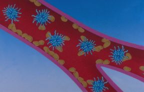 Il colesterolo. Colesterolo. Questo composto chimico è contenuto, in forma libera o come estere di acidi grassi, nei tessuti animali, in particolare nel tuorlo dell'uovo, nei depositi di grasso, nella sostanza nervosa, negli eritrociti. 