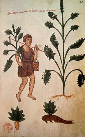 Il medico greco Ippocrate di Cos. Medicina. Il medico greco Ippocrate di Cos rimarrà nella storia come colui che ha capovolto il concetto di medico, da depositario divino della conoscenza a osservatore, studioso e ragionatore attento, fallibile come ogni essere umano, e proprio per questo obbligato da regole di studio e rigore morale, stigmatizzate nel celebre giuramento che porta il suo nome.