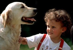 Gli animali e i bambini. Affettività. La presenza in famiglia di cani e gatti costituisce spesso un'esperienza affettiva importante per i bambini, che trovano facilmente, negli animali, degli ottimi 