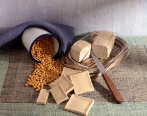 Sostituzione di alimenti grassi. Alimentazione. Taluni alimenti, come il formaggio, vanno consumati con moderazione, dato il notevole contenuto di grassi e proteine animali che li caratterizza. Si possono sostituire con alimenti macrobiotici come il tofu, a base di soia.