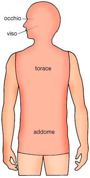 Determinazione della gravità di una ferita. Ferite gravi. Tra i parametri a cui riferirsi per determinare la gravità di una ferita vi è anche l'analisi della sede.