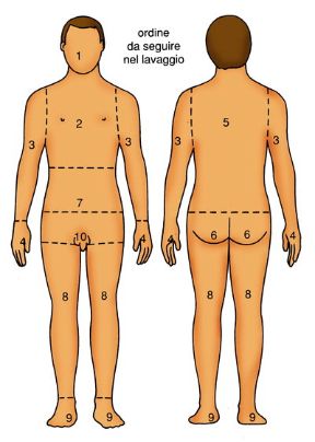 Bagno al paziente allettato: ordine di pulizia da seguire. Il bagno a letto. È importante seguire un ordine preciso per eseguire la pulizia del malato.