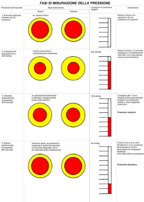 I valori determinati dalla misurazione della pressione. Misurazione della pressione arteriosa. Attraverso la misurazione della pressione arteriosa si determinano due importanti valori: la pressione sistolica, o massima, corrispondente alla fase di contrazione dei ventricoli e alla conseguente spinta del sangue nel circolo arterioso; la pressione diastolica, o minima, corrispondente alla fase di dilatazione e di riempimento dei ventricoli.