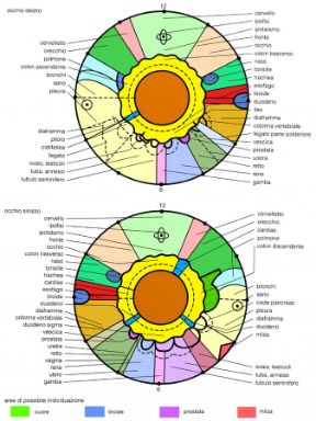 Spiegazione della disciplina dell'iridologia. Iridologia. Questa disciplina ha scopo diagnostico e si fonda sullo studio del colore, della forma e delle alterazioni dell'iride dell'occhio.