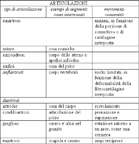 Tabella delle articolazioni. Apparato locomotore. La tabella illustra i principali tipi di articolazioni e i movimenti da esse consentiti.