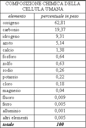 Composizione della cellula umana. Biologia. La cellula umana è composta da diversi elementi chimici quali l'ossigeno, il carbonio, l'idrogeno e l'azoto.