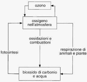 Figura 26.3 Ciclo dell'ossigeno.
