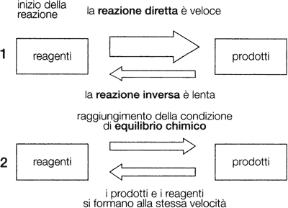Figura 12.3 CONFRONTO TRA LA SITUAZIONE INIZIALE, 1, E LA SITUAZIONE IN CUI SI RAGGIUNGE L'EQUILIBRIO, 2, IN UNA REAZIONE CHIMICA