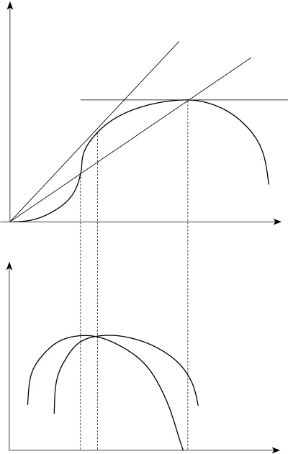 Figura 9.5 Rendimento decrescenti nel breve periodo. Solo il fattore x1 è variabile.
