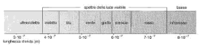Figura 23.1 I colori della radiazione visibile con le rispettive lunghezze d'onda.
