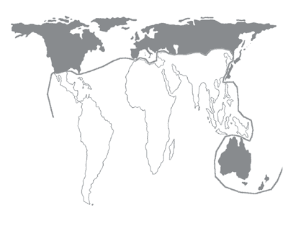 Figura 1.2.1 Nord-Sud