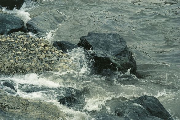 Scogli anneriti dal petrolio Scogli anneriti dal pertrolio.
© De Agostini Picture Library.