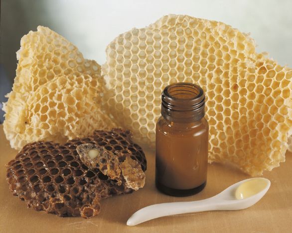 La pappa reale: un integratore naturale La pappa reale ha un alto valore nutritivo, contenendo glucidi, protidi e numerose vitamine. Viene anche usata industrialmente in soluzione alcolica come mezzo terapeutico per i ritardi della crescita, per prevenire i disturbi della senescenza e nella preparazione di prodotti cosmetici.