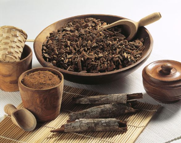 La china come apertivo e digestivo La china ha proprietà spiccatamente eupeptiche ovvero normalizzanti sulle attività digestive. Inoltre il suo sapore amaro stimola la secrezione salivare ed epato-gastrica, quindi prepara l'apparato digerente a ricevere il cibo e a digerirlo. 