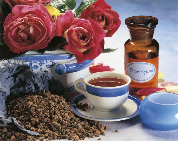 Le capacità terapeutiche del podofilo Il podofilo o Podophyllum Peltatum è una pianta proveniente dall'America settentrionale, usata da tempi immemorabili per le proprietà antielmintiche e purgative. Alcune indagini hanno documentato anche una notevole attività terapeutica nei riguardi di neoplasie maligne cutanee se applicata localmente.